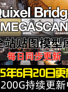 Megascan quixel/Bridge高清贴图模型材质8K/UE4/本地全站资源库
