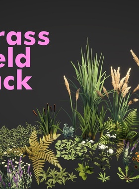 UE4虚幻5 Grass Field Pack 风格化草地植物花草模型道具