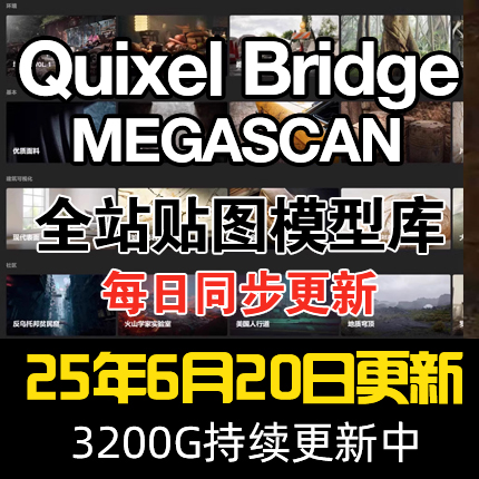 Megascan quixel/Bridge高清贴图模型材质8K/UE4/本地全站资源库
