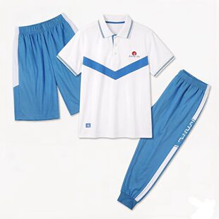 惠州一中校服短袖短裤裤田家炳惠港第九中学仲恺一中中小学生套装