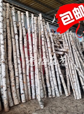 原木隔断婚庆拱门舞台商场白桦树