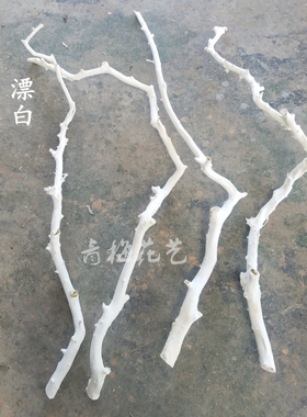 纯天然新款西欧风情龙骨杆漂白干树枝白树干枯树花艺橱窗插花装饰