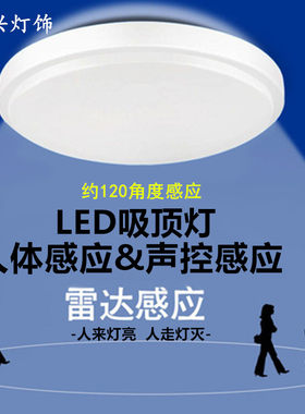 LED简约阳台过道楼道人体感应灯