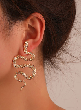 Snake earrings盐系BM千禧辣妹街头夸张蛇形耳环高街鬼马暗黑耳钉