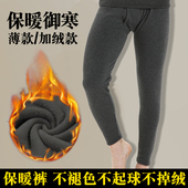 子棉裤 裤 莫代尔贴身薄款 秋裤 纯棉加绒加厚保暖裤 打底毛裤 男秋冬季
