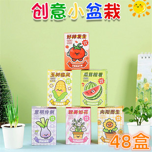 儿童创意植物观察种植盲盒小学生奖品幼儿园奖励小礼品全班礼物