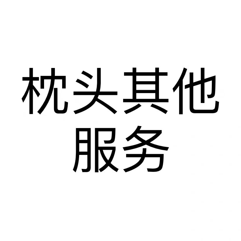 枕芯枕头其他