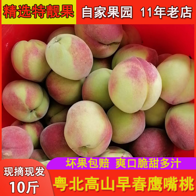 正宗翁源早春桃新鲜现摘孕妇水果水蜜桃脆甜爽口多汁鹰嘴桃毛桃子