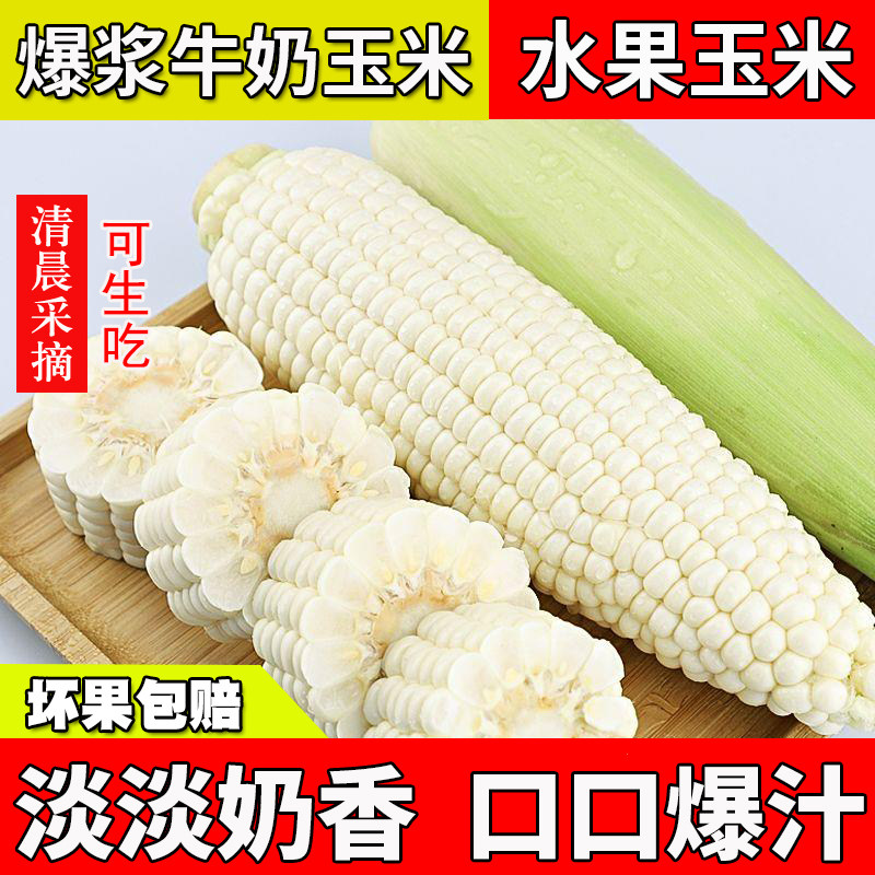 爆浆牛奶水果玉米冰糖甜玉米