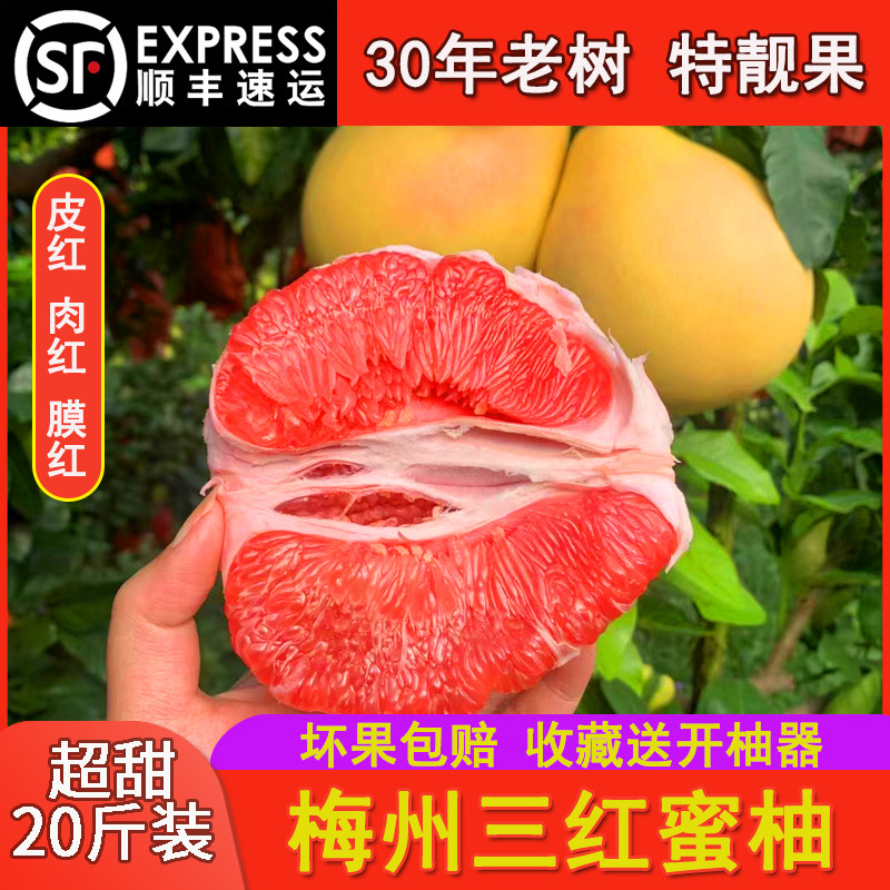 顺丰包邮三红蜜柚红心蜜柚