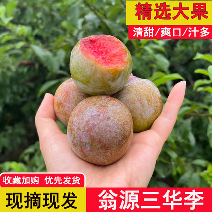 大果正宗翁源三华李新鲜水果李子现摘红心李当季孕妇果子爽口脆甜