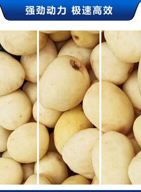 （AASI）484皮 PKPST 全自动不锈钢商用土豆脱皮机去洗机