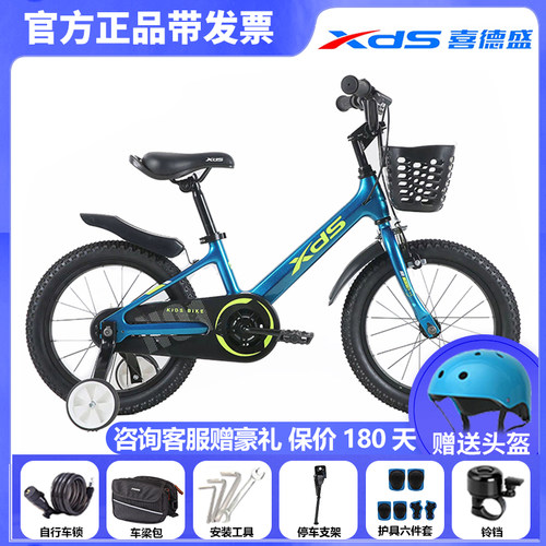 XDS/喜德盛内走线环保烤漆