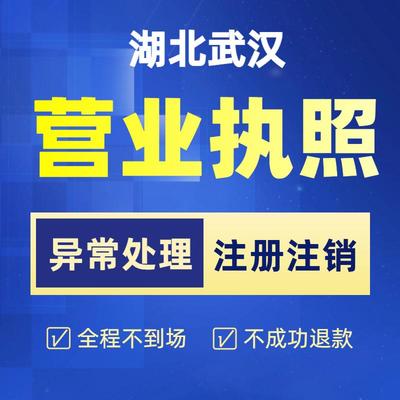 湖北武汉公司注册营业执照办理个体企业注销处理税务注销年报减资