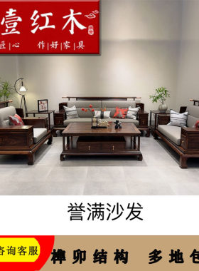 黑酸枝新中式轻奢沙发红木沙发