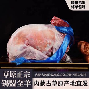 内蒙古锡林郭勒盟全羊正宗内蒙羊肉现杀新鲜草原全羊