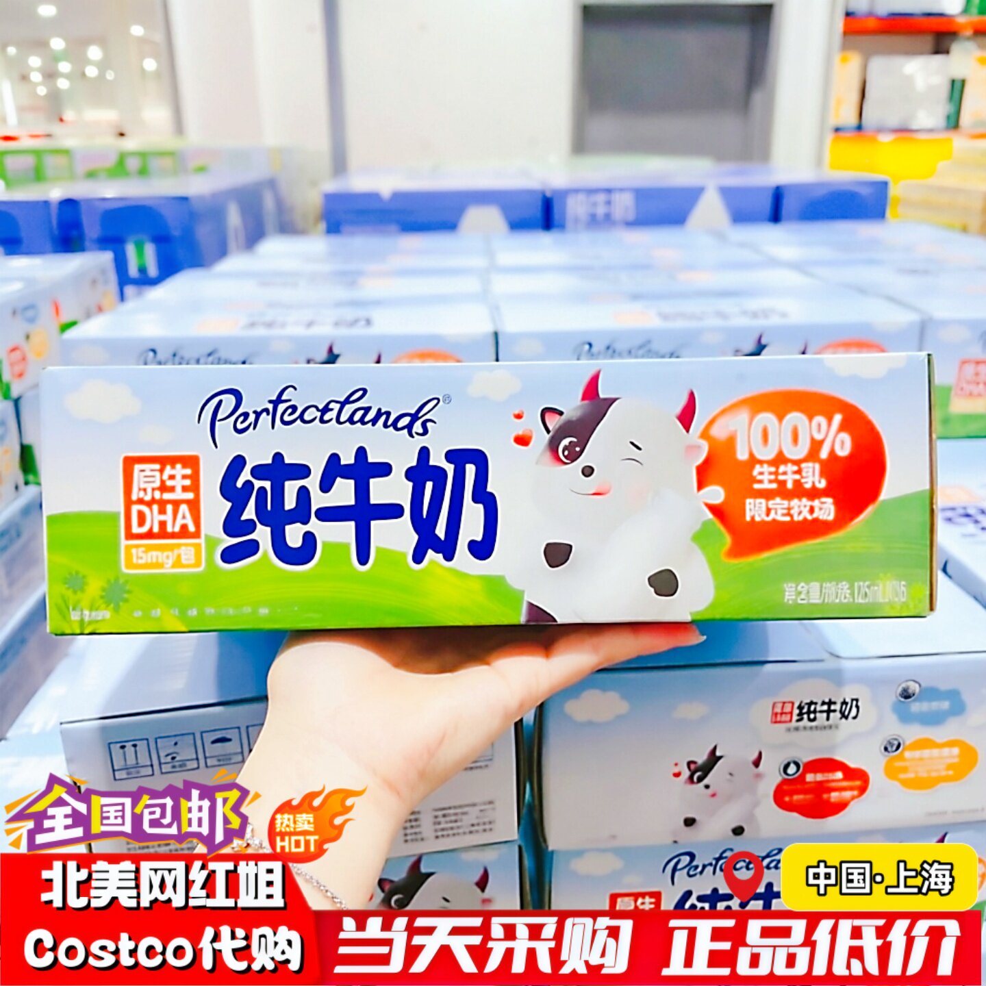 开市客柏菲兰原生DHA纯牛奶饮品图片