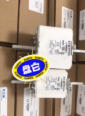 快速熔断器保险管170M5813 170M581 170M5咨询维修咨询维修