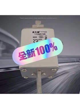 熔断器保险丝170M5189 170M5190 170M51咨询维修咨询维修
