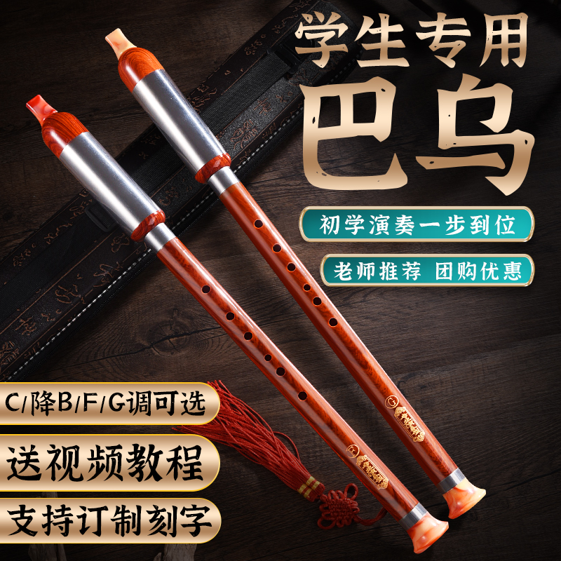 百诺竖吹巴乌乐器小学生c