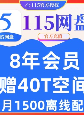 115会员 115年费会员 115网盘8年VIP 送40TB永久空间扩容