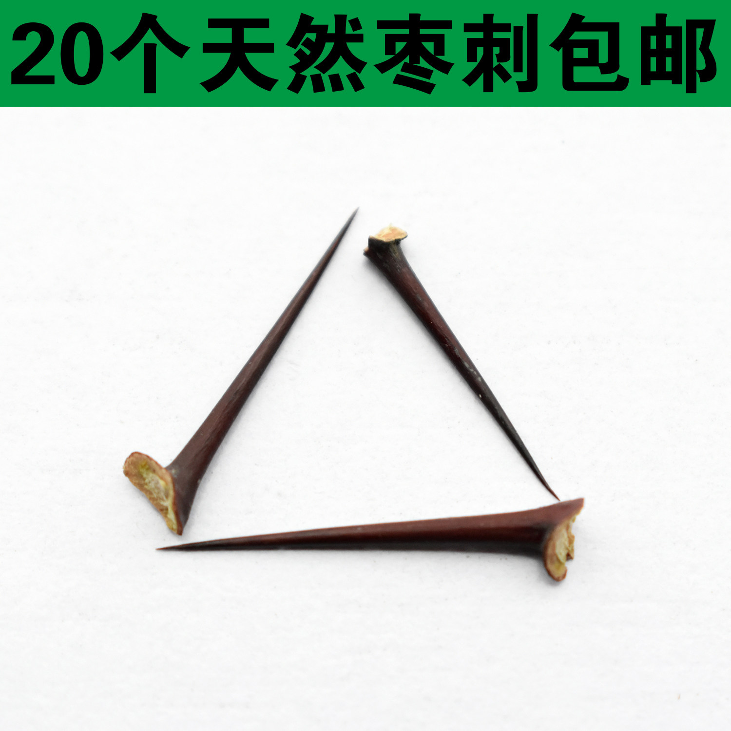 耳洞塞 茶叶棒枣刺酸枣刺20个包邮植物 耳钉 耳针山枣针耳棒茶叶