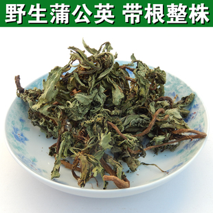 2025整株野生蒲公英茶黄黄苗秋季新货新鲜晒干花茶一斤包邮婆婆丁