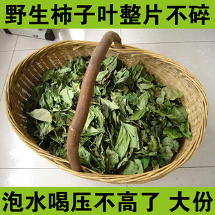 今年新货野生纯天然柿子叶柿叶茶中可打粉药材新鲜晒干一斤包邮