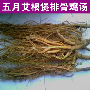 大山新鲜艾根艾叶根5月老艾根艾草根滋补养生煲汤中草药一斤包邮