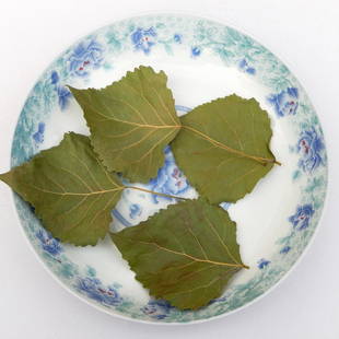 今年新货杨树叶白杨树叶 煮水新鲜晒干的 1斤包邮 保证质量