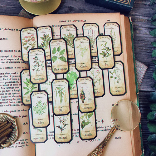 复古植物英文图鉴风tn手帐装饰