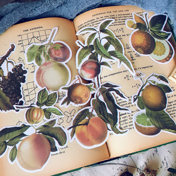 手帐素材复古桃子葡萄硫酸纸贴纸