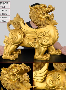铜貔貅摆件一对黄铜招貔恘天禄铜制皮丘财客厅办公室开业礼品大号