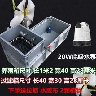 乌龟沼泽过滤龟苗养殖箱周转箱生态过滤龟缸水培过滤龟缸鱼缸一体