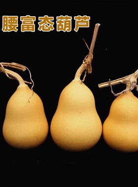 精品小葫芦天然葫芦手捻把玩小葫芦文玩葫芦摆件葫芦挂件端午配饰