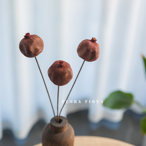 菲奥纳植物志圣诞装饰节日装扮