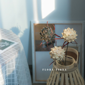 天然果实手工干花乡村田园民宿复古做旧软装 家居搭配摆设笋壳宝塔