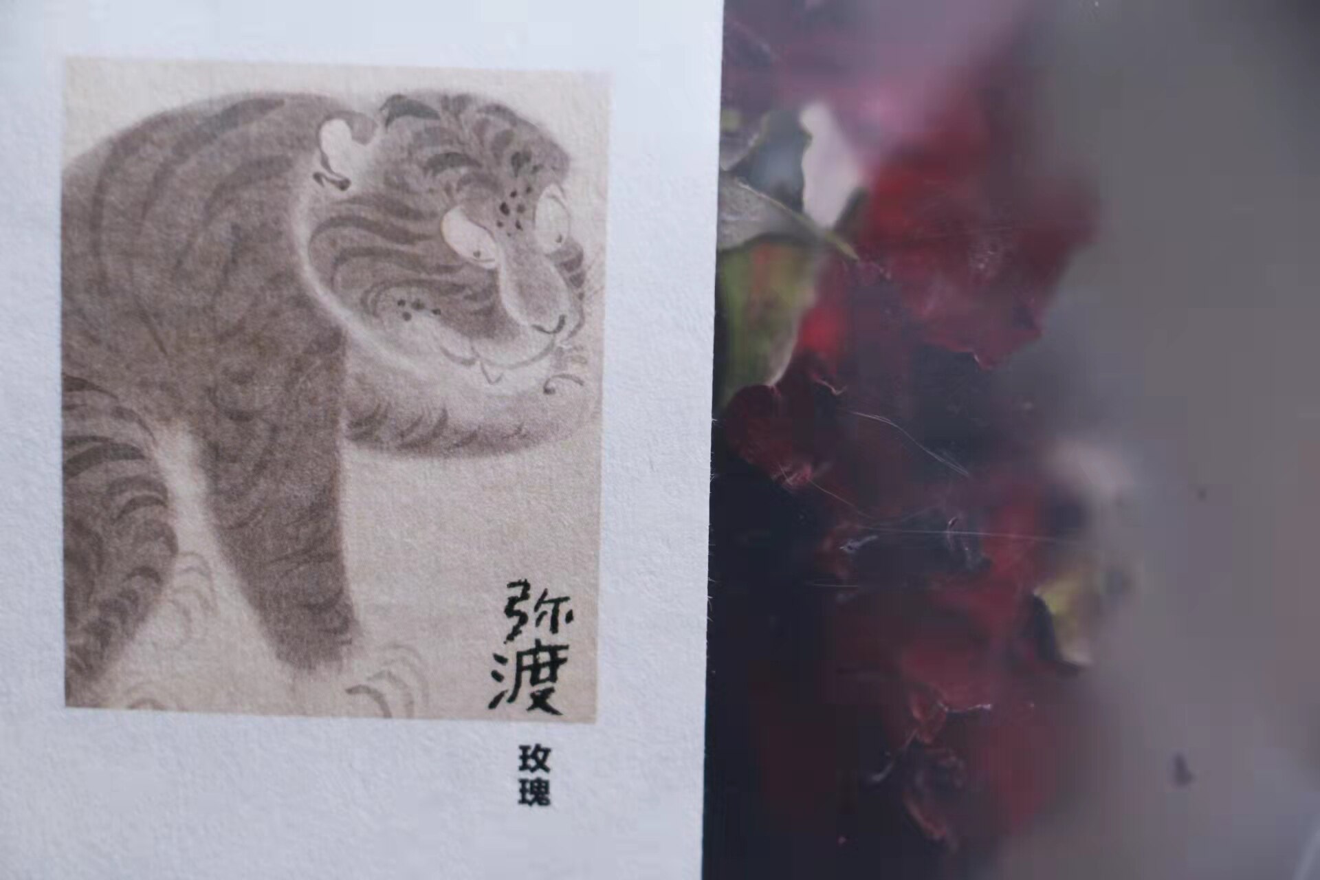 弥渡玫瑰花图片