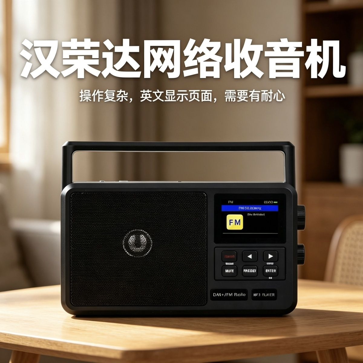 进口日本德国汉荣达806 英文收音机