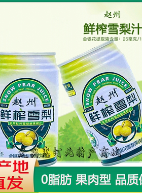 赵县冰糖雪梨汁鲜榨清润降燥整箱0脂肪天然果肉饮料石家庄特产310