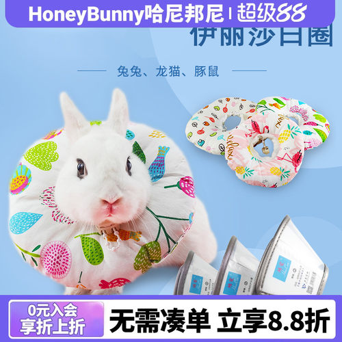 伊丽莎白猫咪绝育防舔宠物项圈