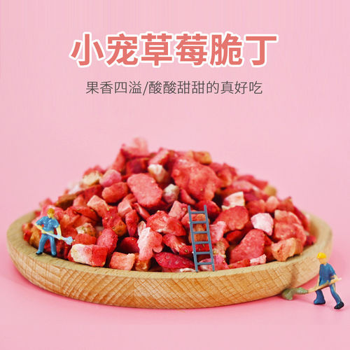 冻干草莓脆丁营养美味水果35g兔