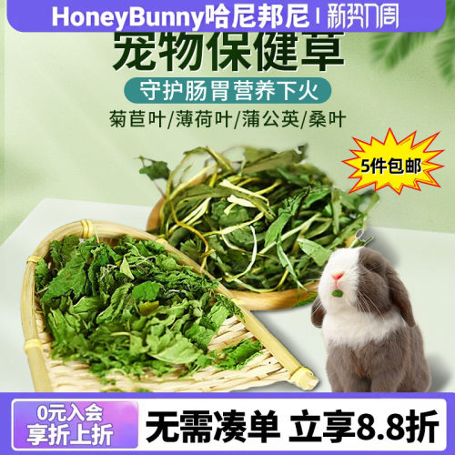 保健草薄荷叶菊苣草蒲公英桑叶