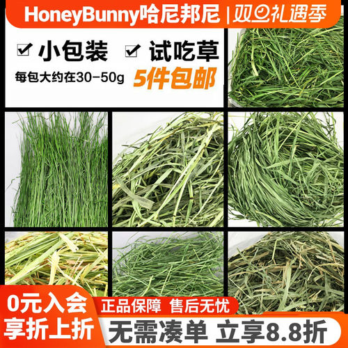 提摩西草北提南提澳麦菊苣干草