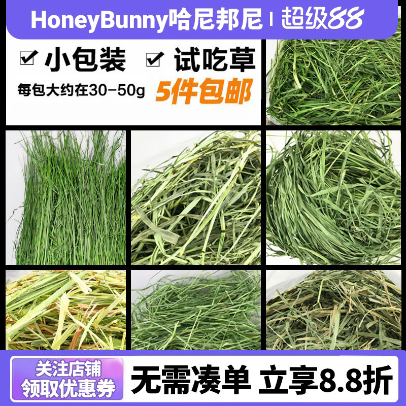 试吃干草兔兔龙猫草提摩西草