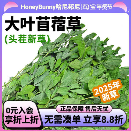 25年7A级烘干苜蓿草兔子新草龙猫荷兰猪幼兔食用干牧草紫花粮草