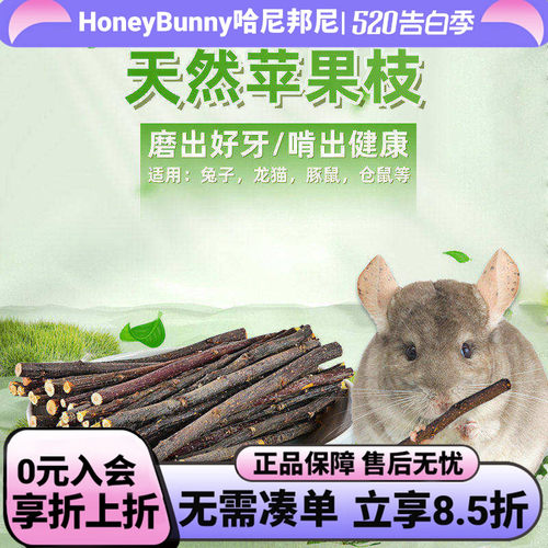 兔子仓鼠磨牙苹果枝豚鼠龙猫磨牙