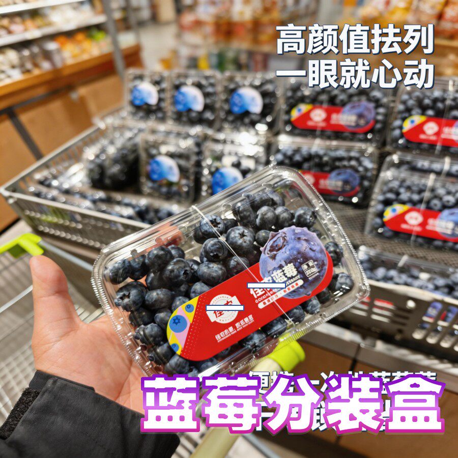 一次性蓝莓塑料盒 100g125g200g250g500g分装盒水果保鲜盒包装盒