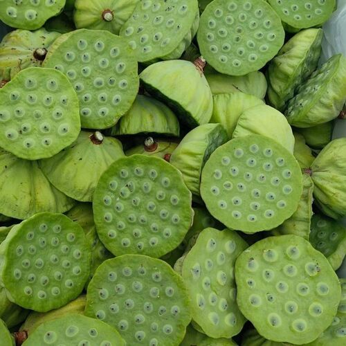 江西特产新鲜嫩莲蓬即食孕妇生吃水果莲蓬太空莲现摘新鲜发货