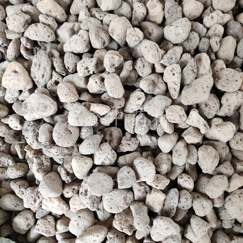 海浮石500克包邮中药材